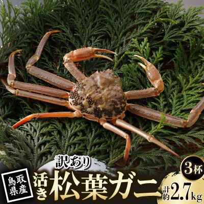 【先行予約】鳥取県産 訳あり 活 松葉がに 900g×3杯(中村商店)2025年11月発送