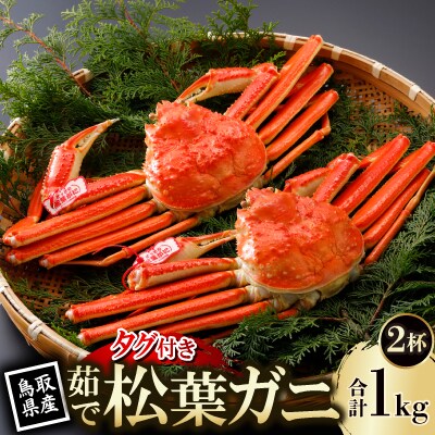 【先行予約】鳥取県産 タグ付き 茹 松葉がに 500g×2杯(中村商店)2025年11月発送