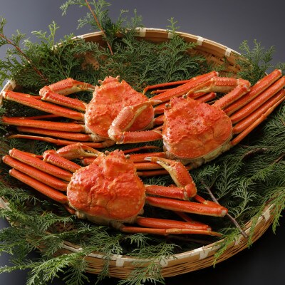 【先行予約】鳥取県産 訳あり 茹 松葉がに 500g×3杯(中村商店)2025年11月発送