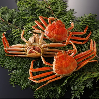 【先行予約】鳥取県産 茹 親がに(セコガニ)100～130g×3杯 2025年11月発送