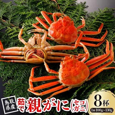 【先行予約】鳥取県産 茹 親がに(セコガニ)100～130g×8杯 2025年11月発送