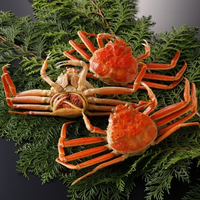 【先行予約】鳥取県産 茹 親がに(セコガニ)100～130g×10杯 2025年11月発送