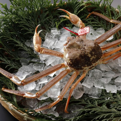 �y��s�\��z���挧�Y �^�O�t�� �����t���� 1kg�ȏ�×2�t(�������X)25�N12���E26�N1������