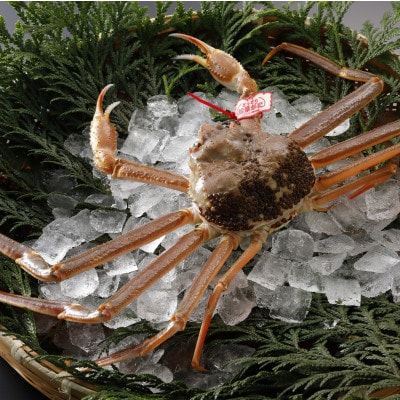 �y��s�\��z���挧�Y �^�O�t�� �� ���t���� 700g×2�t(�������X)25�N12���E26�N1������