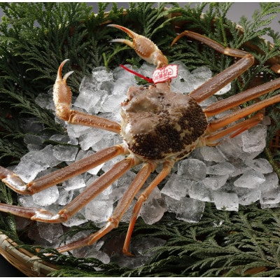 【先行予約】鳥取県産 タグ付き 活 松葉がに 700g×3杯(中村商店)25年12月・26年1月発送