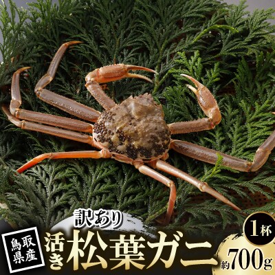 【先行予約】鳥取県産 訳あり 活 松葉がに 700g×1杯(中村商店)25年12月・26年1月発送