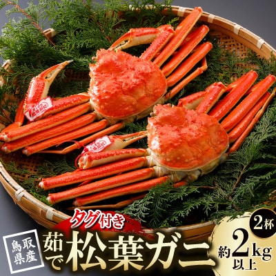 【先行予約】鳥取県産 タグ付き 茹松葉がに 1kg以上×2杯(中村商店)25年12月・26年1月発送