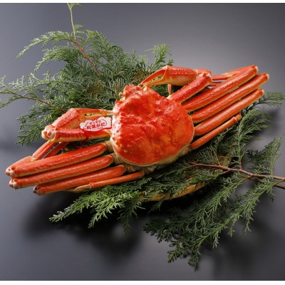 �y��s�\��z���挧�Y �^�O�t�� � ���t���� 500g×1�t(�������X)25�N12���E26�N1������