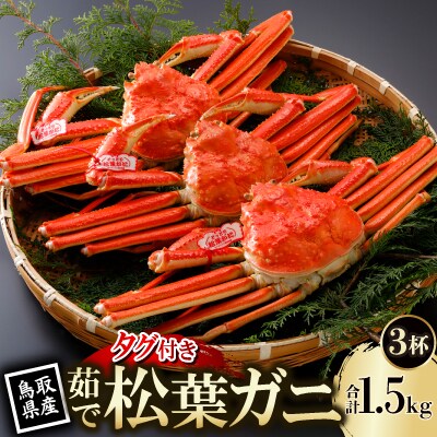 【先行予約】鳥取県産 タグ付き 茹 松葉がに 500g×3杯(中村商店)25年12月・26年1月発送