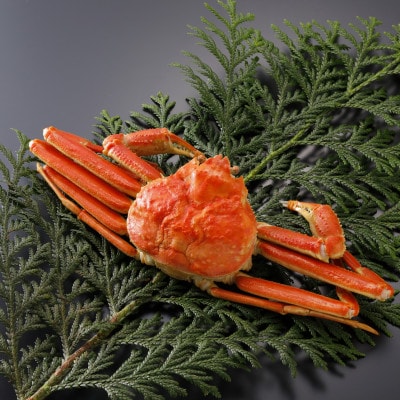 �y��s�\��z���挧�Y �󂠂� � ���t���� 700g×1�t(�������X)25�N12���E26�N1������