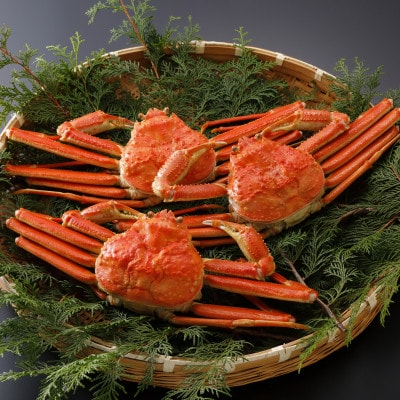 【先行予約】鳥取県産 訳あり 茹 松葉がに 700g×3杯(中村商店)25年12月・26年1月発送