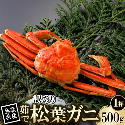【先行予約】鳥取県産 訳あり 茹 松葉がに 500g×1杯(中村商店)25年12月・26年1月発送