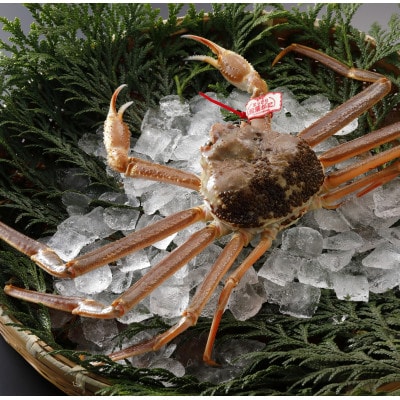 �y��s�\��z���挧�Y �^�O�t�� �����t���� 1kg�ȏ�×3�t(�������X)2026�N1������菇������