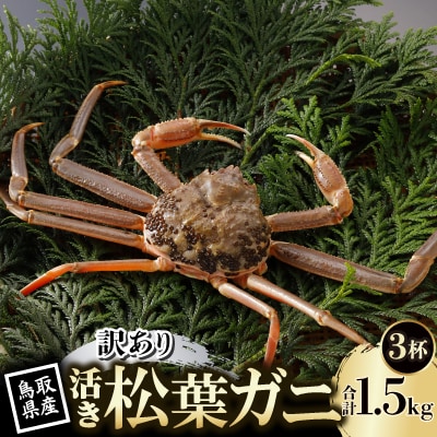 【先行予約】鳥取県産 訳あり 活 松葉がに 500g×3杯(中村商店)2026年1月末より順次発送