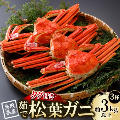 【先行予約】鳥取県産 タグ付き 茹 松葉がに 1kg以上×3杯(中村商店)2026年1月末～順次発送