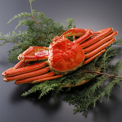 �y��s�\��z���挧�Y �^�O�t�� � ���t���� 700g×1�t(�������X)2026�N1������菇������