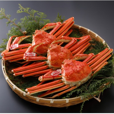 【先行予約】鳥取県産 タグ付き 茹 松葉がに 700g×3杯(中村商店)2026年1月末より順次発送