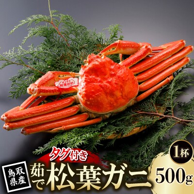 【先行予約】鳥取県産 タグ付き 茹 松葉がに 500g×1杯(中村商店)2026年1月末より順次発送