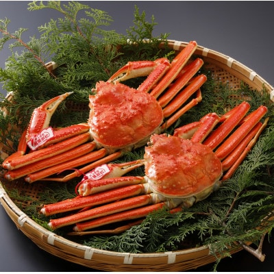 �y��s�\��z���挧�Y �^�O�t�� � ���t���� 500g×2�t(�������X)2026�N1������菇������