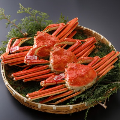 �y��s�\��z���挧�Y �^�O�t�� � ���t���� 500g×3�t(�������X)2026�N1������菇������