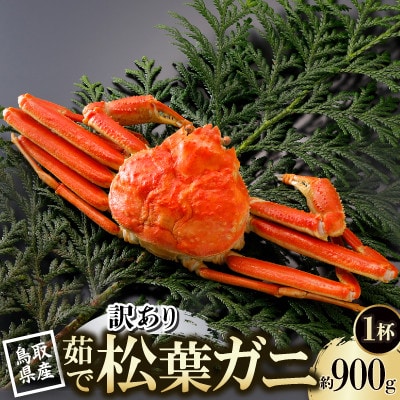 �y��s�\��z���挧�Y �󂠂� � ���t���� 900g×1�t(�������X)2026�N1������菇������