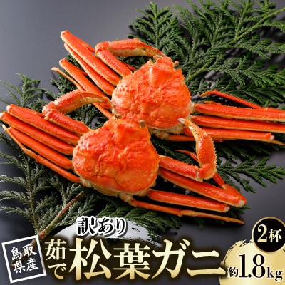 【先行予約】鳥取県産 訳あり 茹 松葉がに 900g×2杯(中村商店)2026年1月末より順次発送