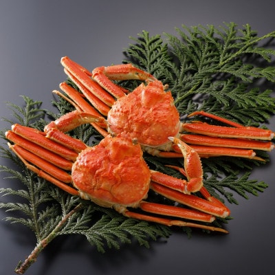 【先行予約】鳥取県産 訳あり 茹 松葉がに 500g×2杯(中村商店)2026年1月末より順次発送