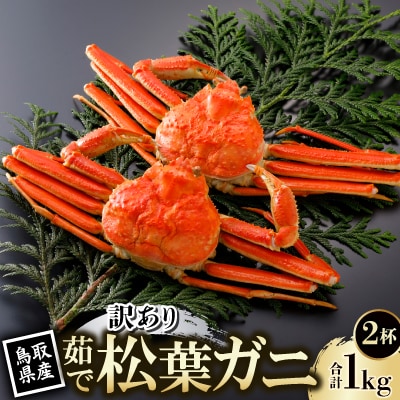 【先行予約】鳥取県産 訳あり 茹 松葉がに 500g×2杯(中村商店)2026年1月末より順次発送