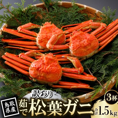 【先行予約】鳥取県産 訳あり 茹 松葉がに 500g×3杯(中村商店)2026年1月末より順次発送
