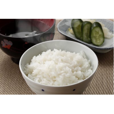 【食味鑑定士厳選】鳥取県産 コシヒカリ5kg(5kg×1袋) 精米