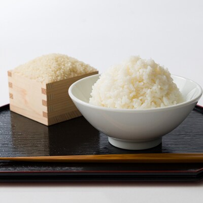 【食味鑑定士厳選】鳥取県産 コシヒカリ5kg(5kg×1袋) 精米