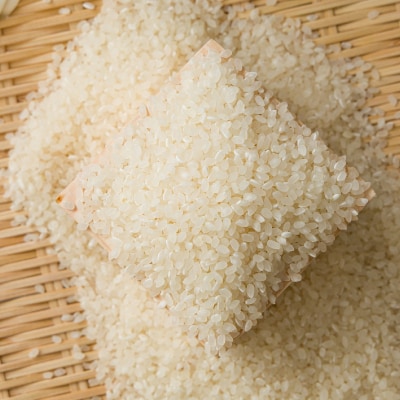 【食味鑑定士厳選】鳥取県産 コシヒカリ30kg(5kg×6袋) 精米