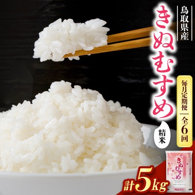 【毎月定期便】【食味鑑定士厳選】鳥取県産 きぬむすめ5kg(5kg×1袋) 精米全6回