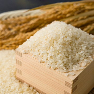 【毎月定期便】【食味鑑定士厳選】鳥取県産 きぬむすめ5kg(5kg×1袋) 精米全6回