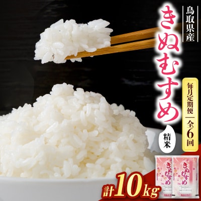 【毎月定期便】【食味鑑定士厳選】鳥取県産 きぬむすめ10kg(5kg×2袋) 精米全6回