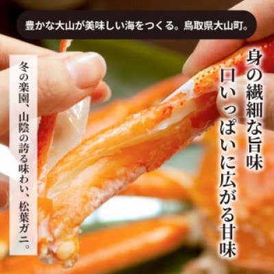 【11月中旬以降順次発送】[冷凍]訳あり松葉ガニ約2kg詰め合わせ　 OM-13-1