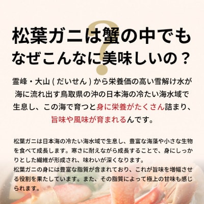 【2027年1月以降順次発送】[冷凍]訳あり松葉ガニ約3kg詰め合わせ　OM-14-2