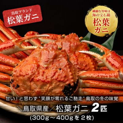 【11月中旬以降順次発送】ボイル松葉ガニ(300～400gを2枚)　OM-16-1