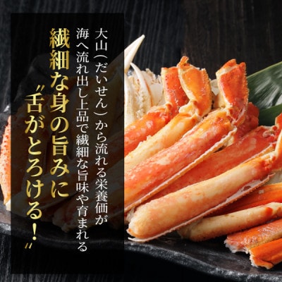 【11月中旬以降順次発送】ボイル松葉ガニ(300～400gを2枚)　OM-16-1