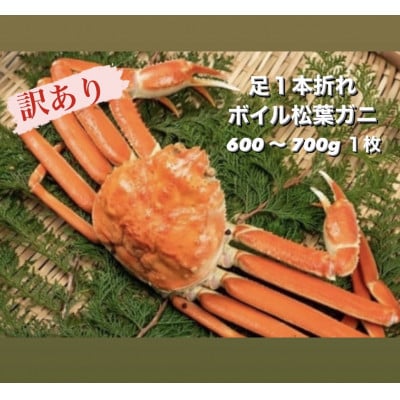 【11月中旬以降順次発送】訳あり足1本折れボイル松葉ガニ(600～700gを1枚)　OM-31
