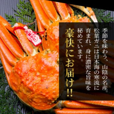 【11月中旬以降順次発送】ブランドタグ付ボイル松葉ガニ(400～500gを2枚)　OM-23