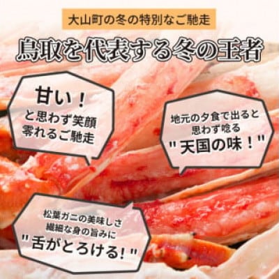 【11月中旬以降順次発送】ボイル松葉ガニ(600g～700gを1枚)　OM-18