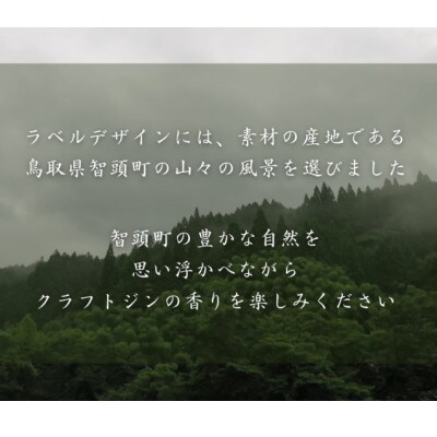 オリジナルクラフトジン「常盤」500ml