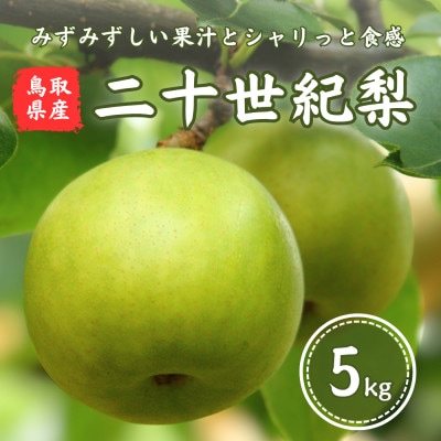 鳥取県産　二十世紀梨　5kg