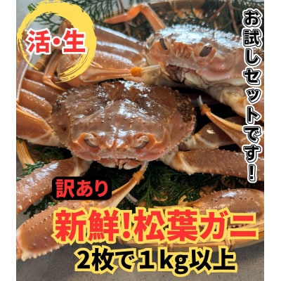 【さかなや新鮮組】鳥取県産 訳あり 活松葉ガニ1.0kgセット ご家庭用 漁港直送