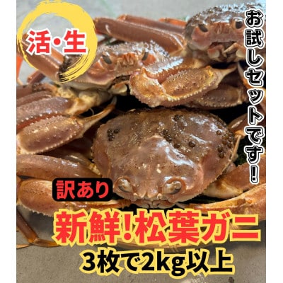 【さかなや新鮮組】鳥取県産 訳あり 活松葉ガニ2.0kgセット ご家庭用 漁港直送
