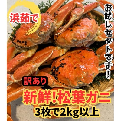 【さかなや新鮮組】鳥取県産 訳あり 浜茹で 松葉ガニ2.0kgセット ご家庭用 漁港直送