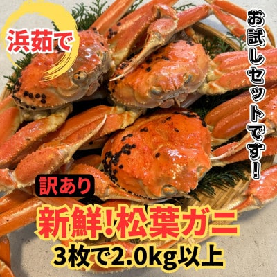 【さかなや新鮮組】鳥取県産 訳あり 浜茹で 松葉ガニ2.0kgセット ご家庭用 漁港直送