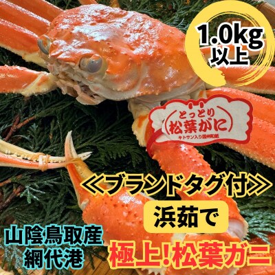 【さかなや新鮮組】鳥取県産 ブランドタグ付き 浜茹で 極上松葉ガニ(1.0kg以上) 1枚