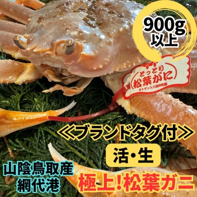 【さかなや新鮮組】鳥取県産 ブランドタグ付き 活 極上松葉ガニ(900g以上) 1枚 漁港直送